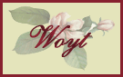Stammlinie Woyt
